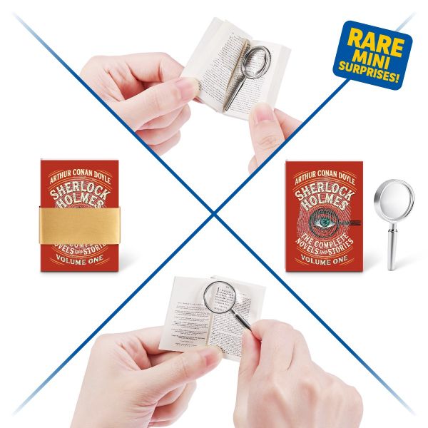 5 Surprise - Book Mini Brands, S2